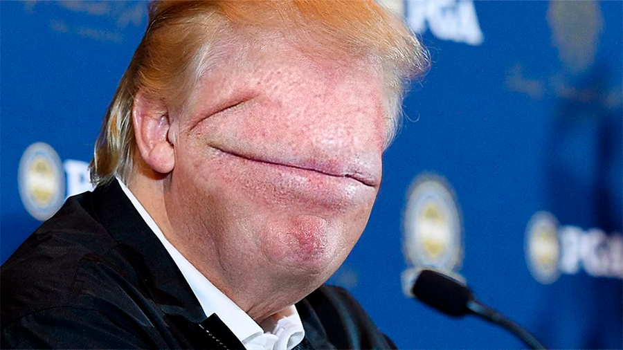 La ciencia lo confirma: el personaje preferido de los memes es Donald Trump