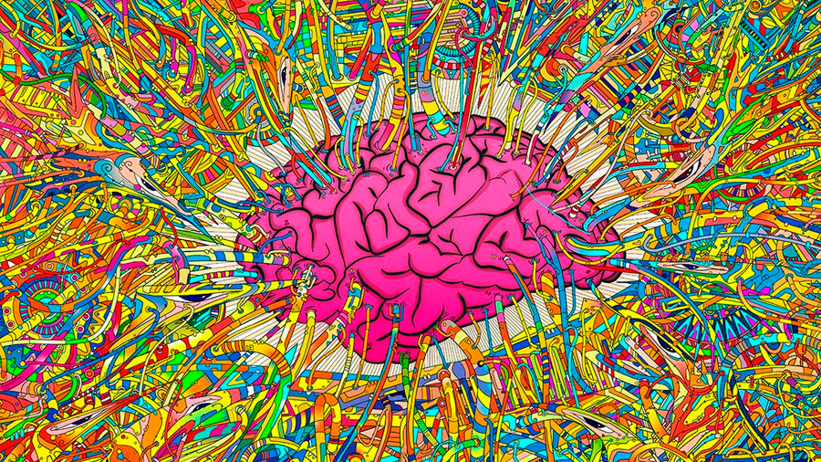 Las drogas psicodélicas también modifican el cerebro