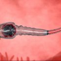 Divide y vencerás: cómo analizar miles de imágenes de espermatozoides