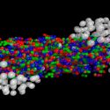Una nueva forma de la materia podría existir más allá de la tabla periódica