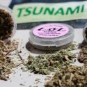 EU: Alertan sobre productos de marihuana sintética por ocasionar severos sangrados