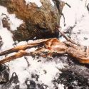 Ötzi, el hombre de hielo, era diestro y vivió hace 5,300 años