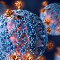 Descubren cómo funciona el gen antiviral