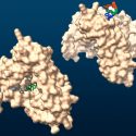 Crean una revolucionaria “impresora de ADN” artificial