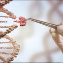 La inhibición de 11 genes podría bloquear más del 99,5 por ciento de las metástasis cancerosas