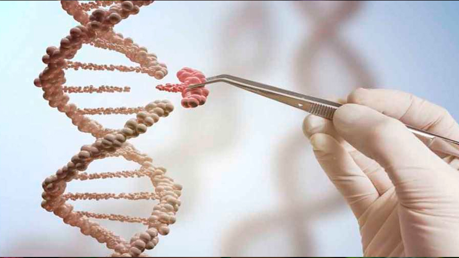 La inhibición de 11 genes podría bloquear más del 99,5 por ciento de las metástasis cancerosas
