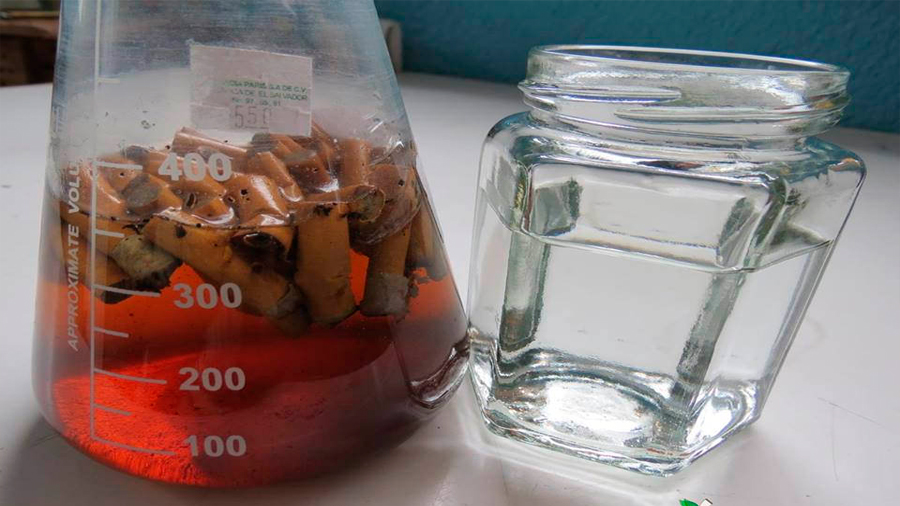 Logra joven científico obtener papel de colillas de cigarro a través de método biotecnológico