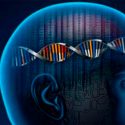 Más de mil genes están asociados a la inteligencia
