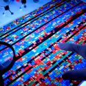 Gran apuesta por cuántos genes tienen los humanos