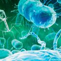 La microbiota humana, un mundo microscópico apasionante de explorar