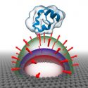 El agua se puede comprimir bajo un campo eléctrico