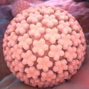 Descubren que la prueba del papiloma detecta antes el cáncer de útero