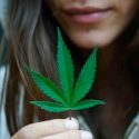 Un estudio no encuentra pruebas sólidas de que el cannabis reduzca el dolor crónico