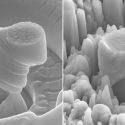 Obtienen investigadores nuevo metal excepcionalmente fuerte y liviano, cuya robustez asombra