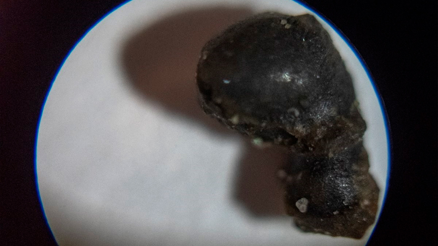 Alcanza éxito la primera búsqueda intencional de meteoritos en el océano