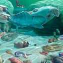Los primeros animales del mundo causaron el calentamiento global