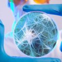 Un compuesto fabricado por el cuerpo humano detiene la replicación de virus