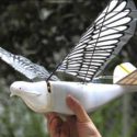 Aves robóticas que vigilan a la población china (Video)