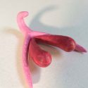 Éste es el primer clítoris 3D de código abierto para enseñar educación sexual