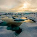 Alertan que el deshielo del Ártico desintegre glaciares al otro lado del globo