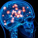 Hallan una fórmula para encender y apagar circuitos cerebrales sin cirugía