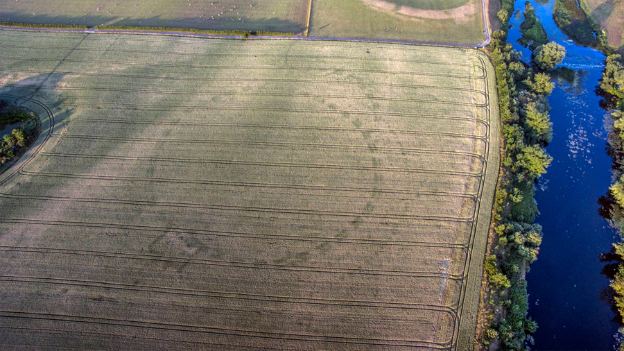 La sequía desvela un enorme monumento prehistórico enterrado en Irlanda