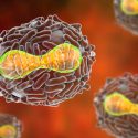 EU aprueba el primer medicamento contra la viruela, por si el virus es usado en un ataque terrorista