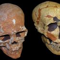 Un cráneo revela nueva información del sistema visual neandertal