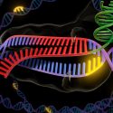Técnica de edición genética CRISPR/Cas9 puede causar daños imprevistos: Nature