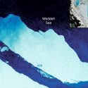 El inmenso iceberg A68 cumple un año atascado en el Mar de Weddell