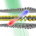 El fotodetector más delgado del mundo es 50 mil veces menos ancho que un cabello humano