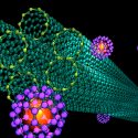 Idea científico mexicano método para purificar y oxidar nanotubos de carbono de uso industrial