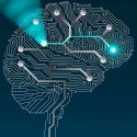 Técnica sin bisturí permite activar y desactivar circuitos neuronales