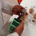 Científico mexicano propone al mezquite para limpiar suelos contaminados con metales pesados y ser alimento de ganado