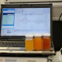 Crean investigadores españoles lengua electrónica que identifica miel adulterada