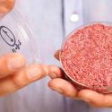 Preparan la venta de carne artificial para 2021