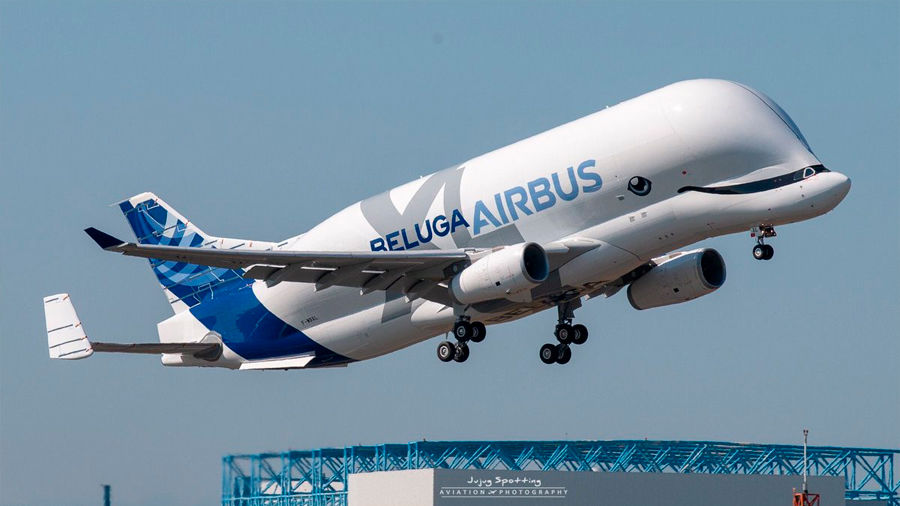 Así fue el primer vuelo de Beluga XL, el gigantesco avión de carga de Airbus con forma de ballena