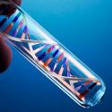 Logran nuevo paso hacia la creación de una célula artificial