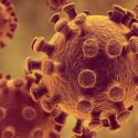Descubren nuevos mecanismos de expresión de proteínas y proliferación celular