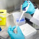 China crea un centro de clonación de primates para la investigación neuronal en humanos y animales
