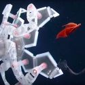 Se inspiran en el origami para capturar sin daño frágiles seres marinos, via dispositivo plegable