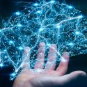 El cerebro computa información tal cual lo hacen las redes de telecomunicaciones