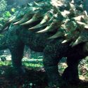 Científicos descubren nueva especie de dinosaurio acorazado en EU