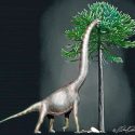 Descubren a “Bigfoot”, uno de los dinosaurios más gigantescos de todos los tiempos