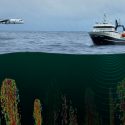 Los vientos del oeste debilitan la capacidad del Oceáno Austral para absorber CO2