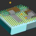 Crean robots del tamaño de células para patrullar por dentro de intestinos en personas vivas