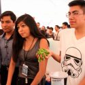 Estudiantes mexicanos elaboran pintura orgánica a base de nopal