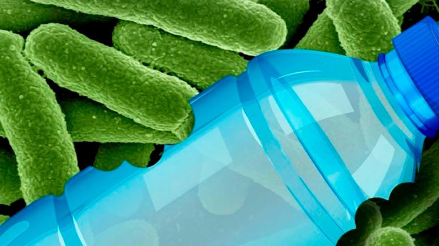 Científicos japoneses descubren una bacteria que elimina el plástico