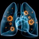 Científicos han descubierto un nuevo tipo de célula en los pulmones