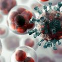 Descubren que el pH ácido es el punto débil de células cancerosas: proliferan menos y con menos robustez
